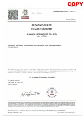 Bureau Veritas<br>Certified as a supplier of forged products by an international certification body: Bureau Veritas.